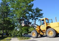 Tornado Cleanup