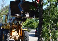 Tornado Cleanup