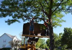 Tornado Cleanup