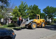 Tornado Cleanup