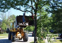 Tornado Cleanup