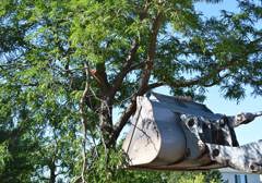 Tornado Cleanup