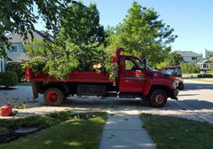 Tornado Cleanup